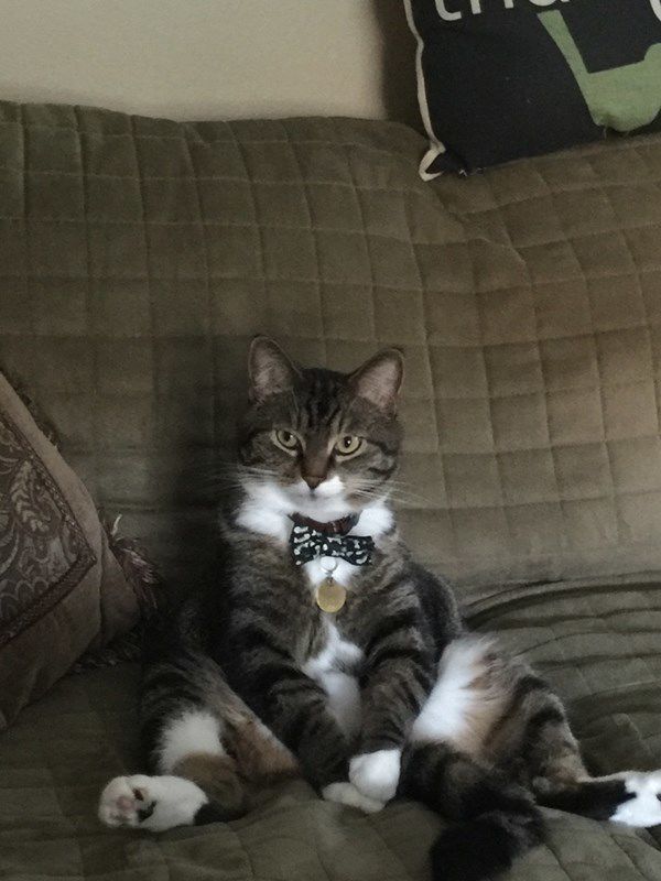 Mr. Theo Little: Always engaged in conversation of the room!